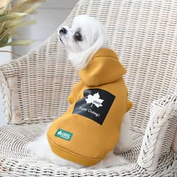 LOGOS（ ロゴス）もちのびボックスロゴパーカー - サムネイル3