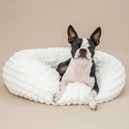 Solgra ぽこぽこラウンドベッド - サムネイル1