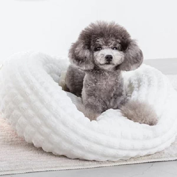 Solgra ぽこぽこラウンドベッド - 4