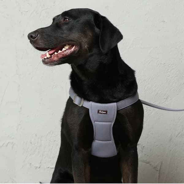 Solgra ナチュラルニットハーネス - 3