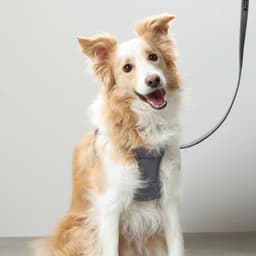 Solgra ナチュラルニットハーネス - サムネイル14