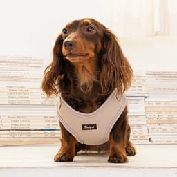 Solgra ナチュラルニットハーネス - サムネイル8