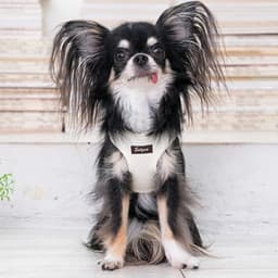 Solgra ナチュラルニットハーネス - サムネイル9