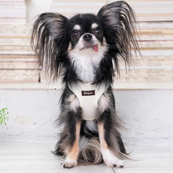 Solgra ナチュラルニットハーネス - 9