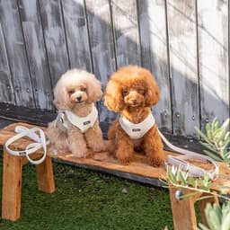 Solgra ナチュラルニットハーネス - サムネイル20