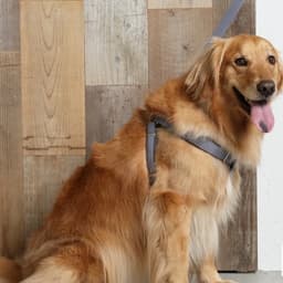 Solgra ナチュラルニットハーネス - サムネイル15