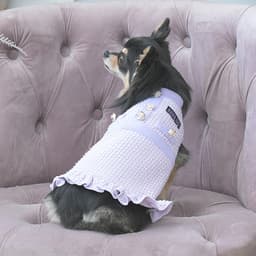 2025秋冬 ANNA SUI（アナ スイ）ツイード風ニットワンピース - サムネイル3