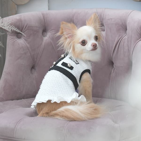 2025秋冬 ANNA SUI（アナ スイ）ツイード風ニットワンピース - 4