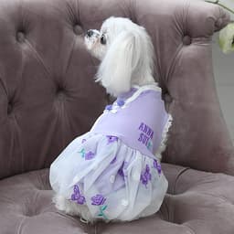 2026新商品 ANNA SUI（アナ スイ）バタフライチャイナバルーンワンピ - サムネイル2