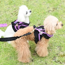 ANNA SUI バタフライ刺繍フリルハーネス - サムネイル2