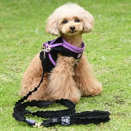 ANNA SUI バタフライ刺繍フリルハーネス - サムネイル3