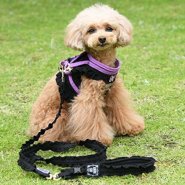 ANNA SUI バタフライ刺繍フリルハーネス - 3