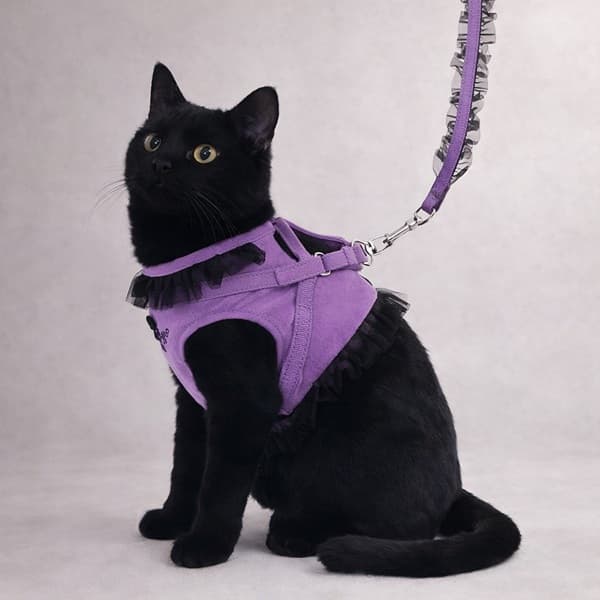 ANNA SUI 猫用フリル付きハーネス - 1