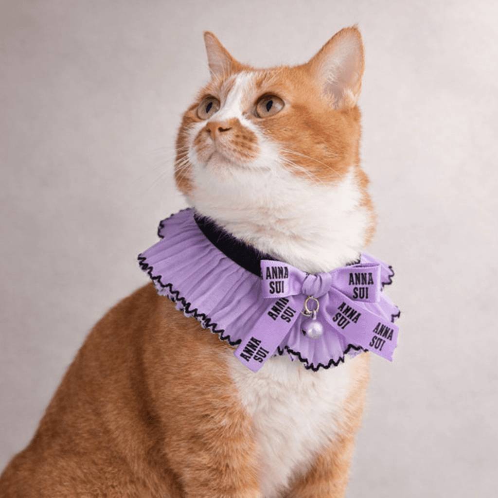ANNA SUI 猫用リボン付シフォンプリーツシュシュ首輪 - 1