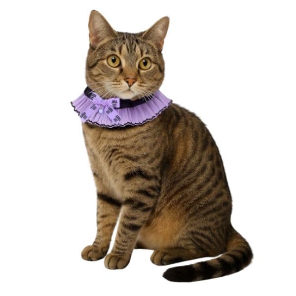 ANNA SUI 猫用リボン付シフォンプリーツシュシュ首輪 - 4