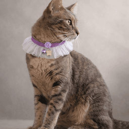 ANNA SUI 猫用バラ付チュールシュシュ首輪 - サムネイル1