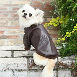 AVIREX（アヴィレックス）フェイクレザータイプMA-1トップガン - サムネイル1