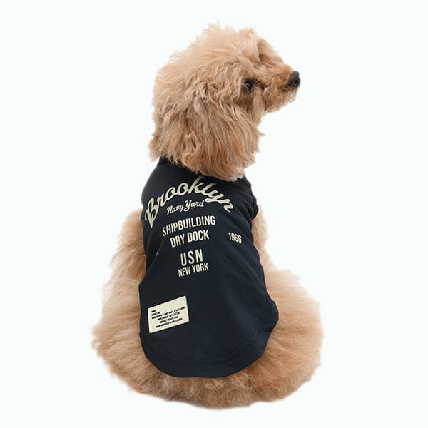 2026新商品 AVIREX（アヴィレックス）EMB.ブルックリンタンク - 2