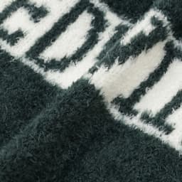 2025秋冬 EDWIN（ エドウィン）もこもこロゴスウェット - サムネイル16