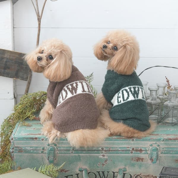 2025秋冬 EDWIN（ エドウィン）もこもこロゴスウェット - 1