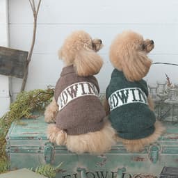 2025秋冬 EDWIN（ エドウィン）もこもこロゴスウェット - サムネイル2