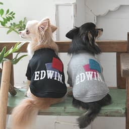 2025秋冬 EDWIN（ エドウィン）パッチワークスウェット - サムネイル1