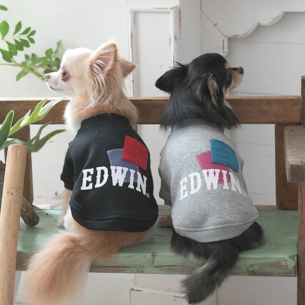 2025秋冬 EDWIN（ エドウィン）パッチワークスウェット - 1