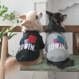 2025秋冬 EDWIN（ エドウィン）パッチワークスウェット - サムネイル2