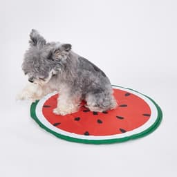 FOFOS ひんやりジェルマット スイカ - サムネイル3