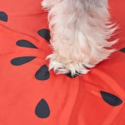 FOFOS ひんやりジェルマット スイカ - サムネイル10