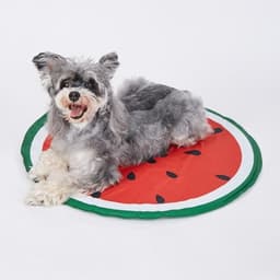 FOFOS ひんやりジェルマット スイカ - サムネイル1