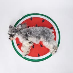 FOFOS ひんやりジェルマット スイカ - サムネイル2