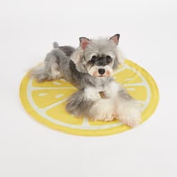 FOFOS ひんやりジェルマット スイカ - サムネイル14