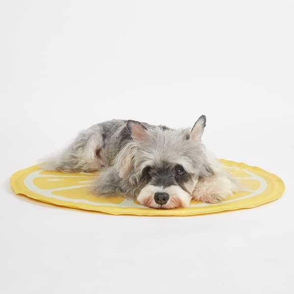 FOFOS ひんやりジェルマット レモン - 2