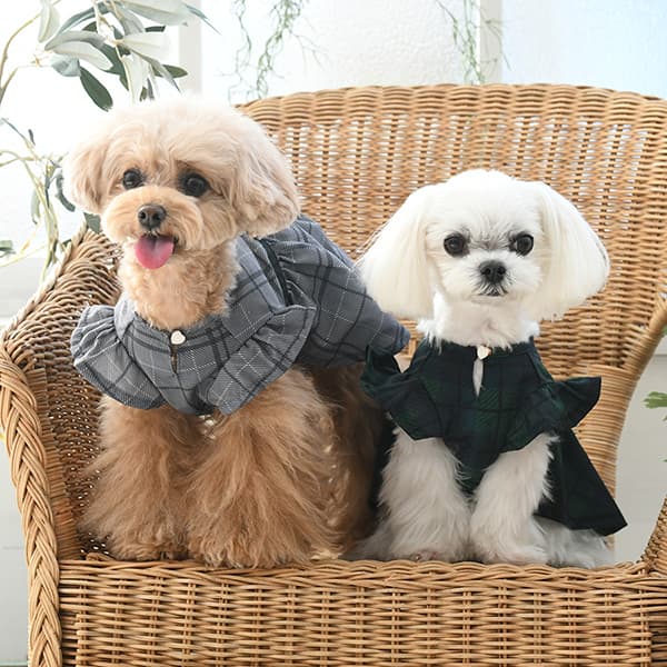 ONE OCTAVE（ワンオクターヴ）きちんとワンピ - 2