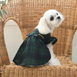 ONE OCTAVE（ワンオクターヴ）きちんとワンピ - サムネイル4