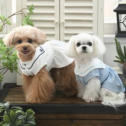 ONE OCTAVE（ワンオクターヴ）ミディカラーワンピ - サムネイル2