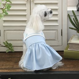 ONE OCTAVE（ワンオクターヴ）ミディカラーワンピ - サムネイル3