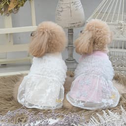 2025秋冬 ROPE PICNIC（ロペピクニック）ドッキングチュールワンピース - サムネイル2