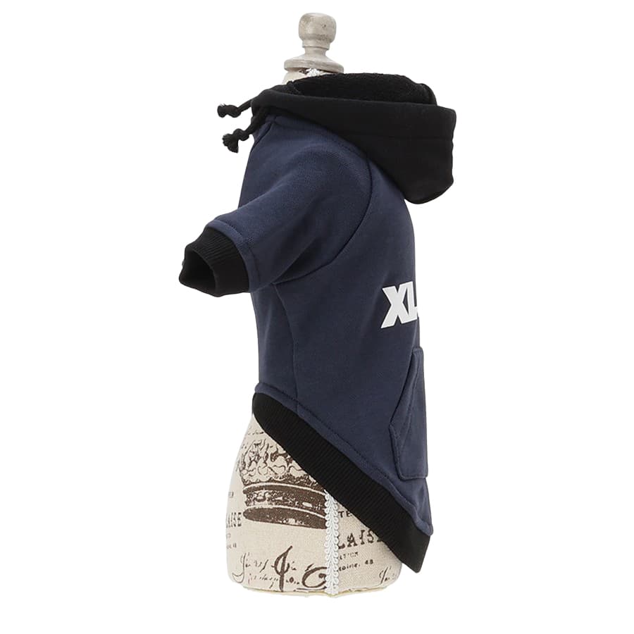 2025秋冬 XLARGE（エクストララージ）ツートーンフーディー - 8