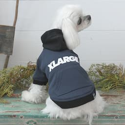 2025秋冬 XLARGE（エクストララージ）ツートーンフーディー - サムネイル2